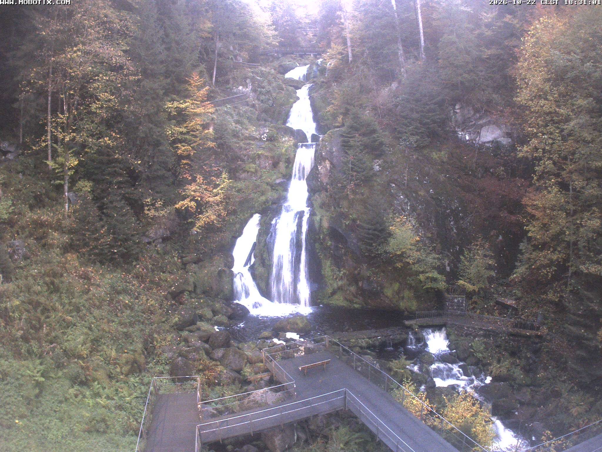 Archived image Webcam Triberg (Black Forest): Waterfalls