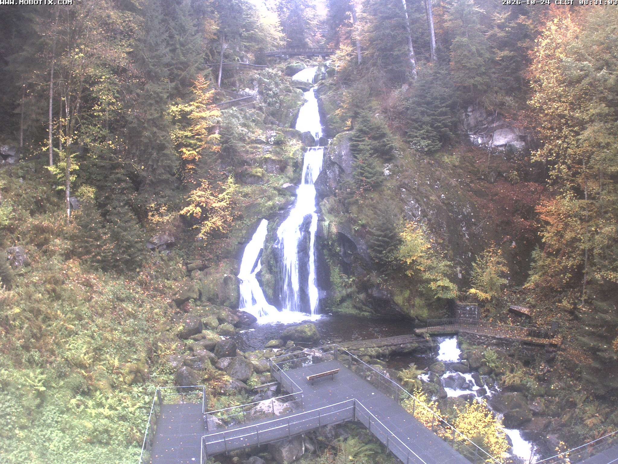 Archived image Webcam Triberg (Black Forest): Waterfalls