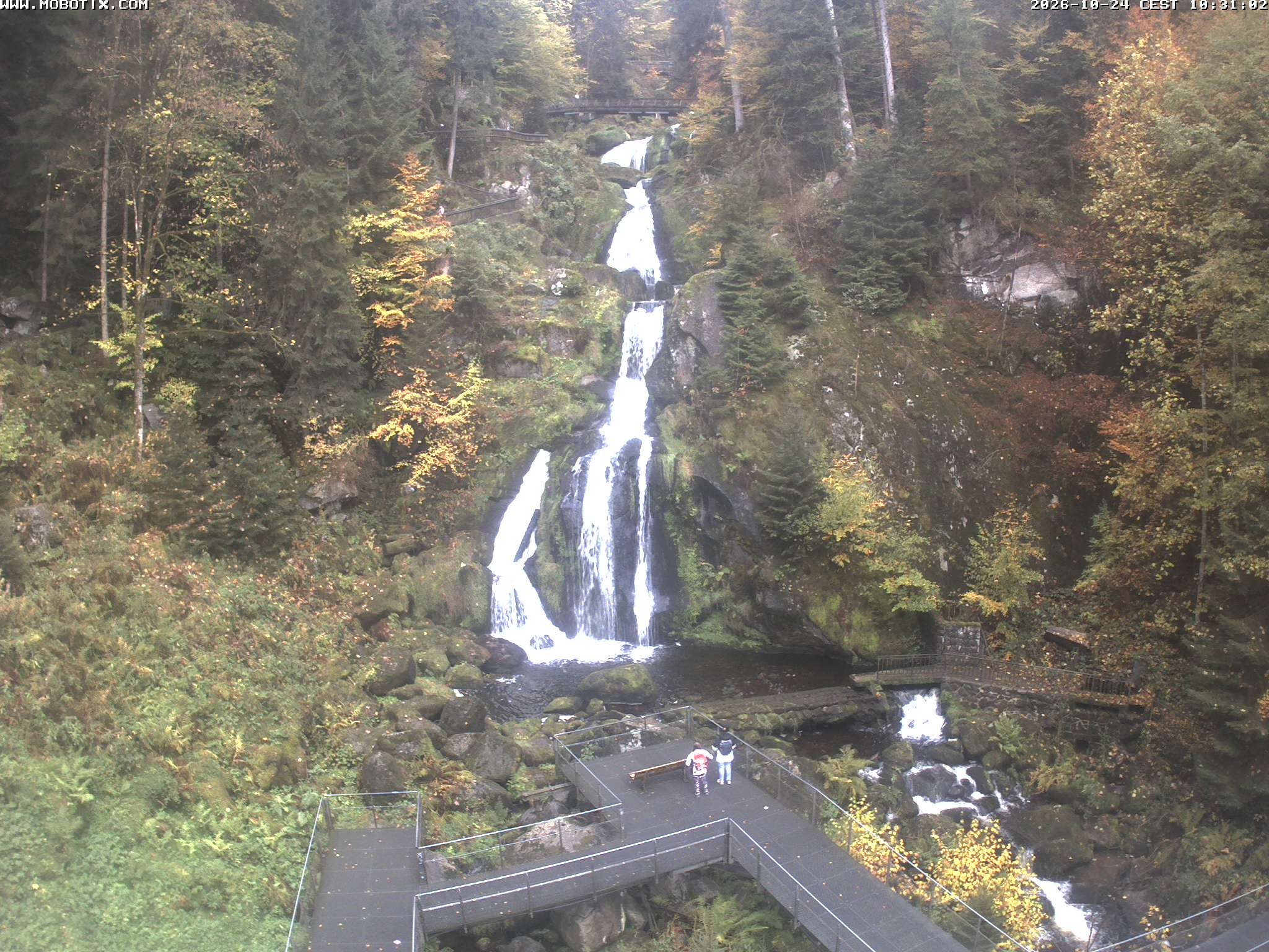 Archived image Webcam Triberg (Black Forest): Waterfalls