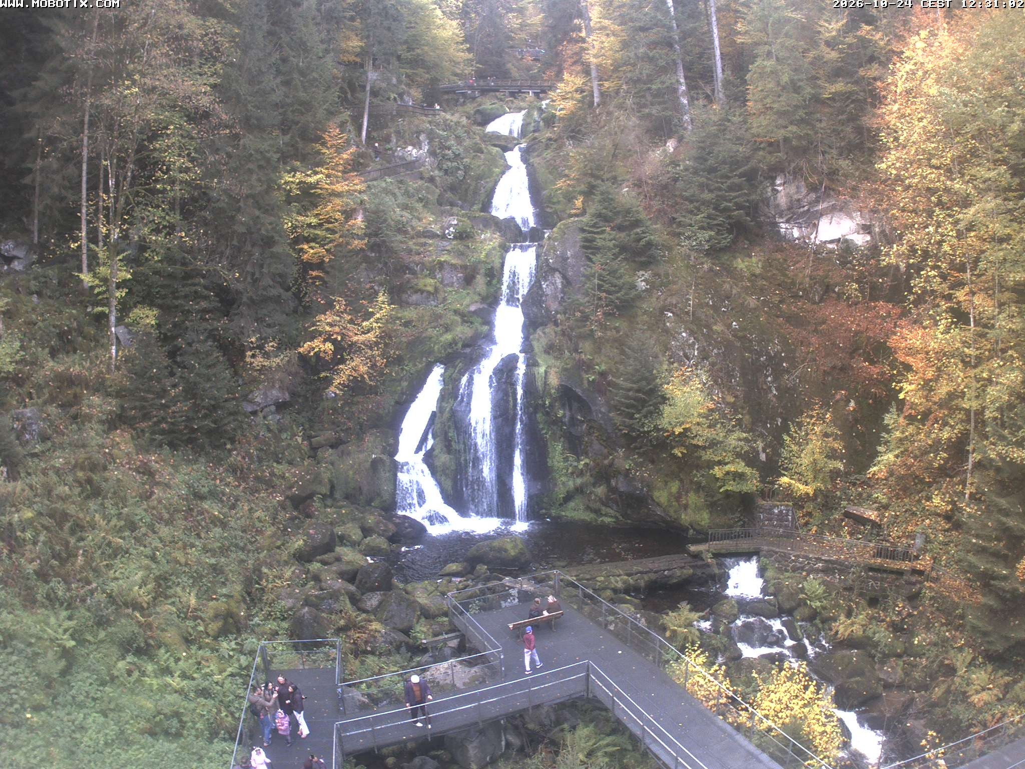 Archived image Webcam Triberg (Black Forest): Waterfalls