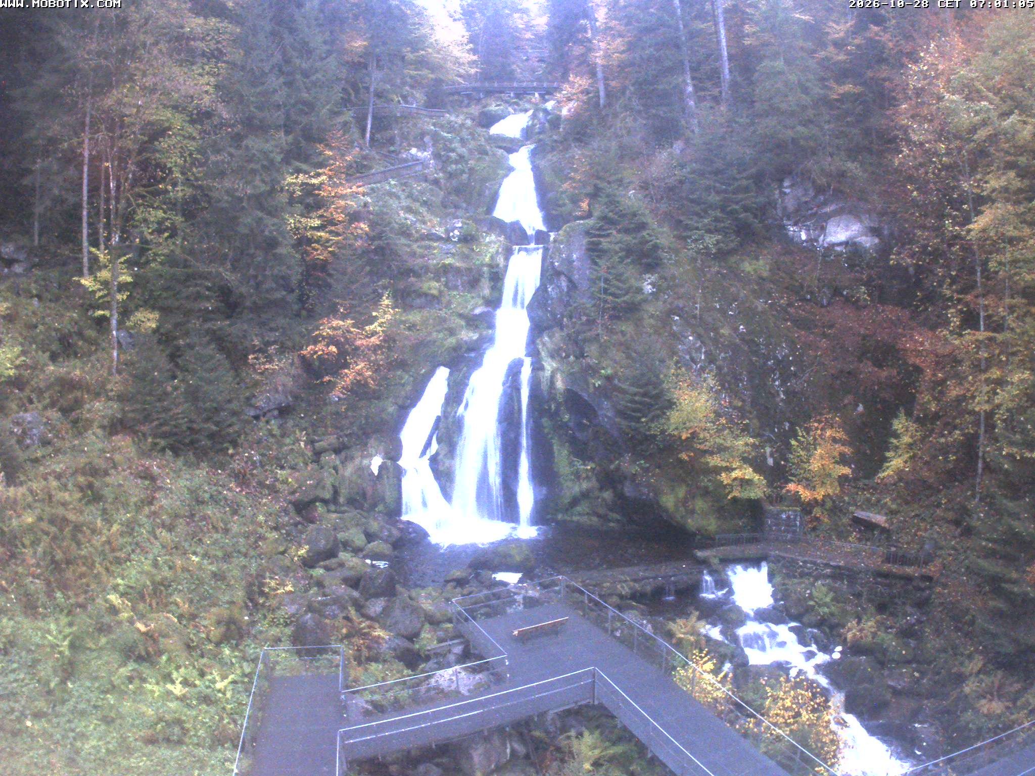 Archiv Foto Webcam Triberg Wasserfälle im Schwarzwald