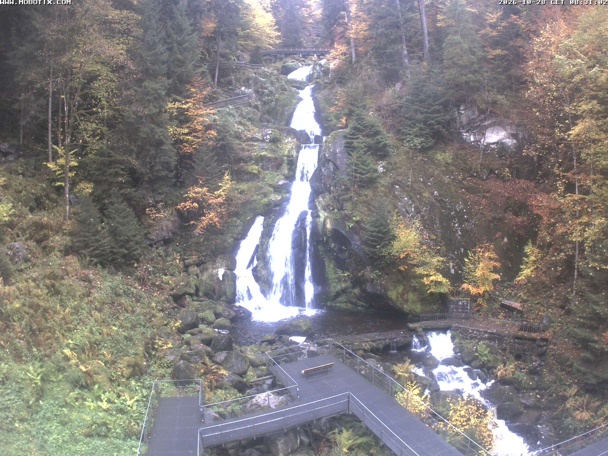 Archiv Foto Webcam Triberg Wasserfälle im Schwarzwald