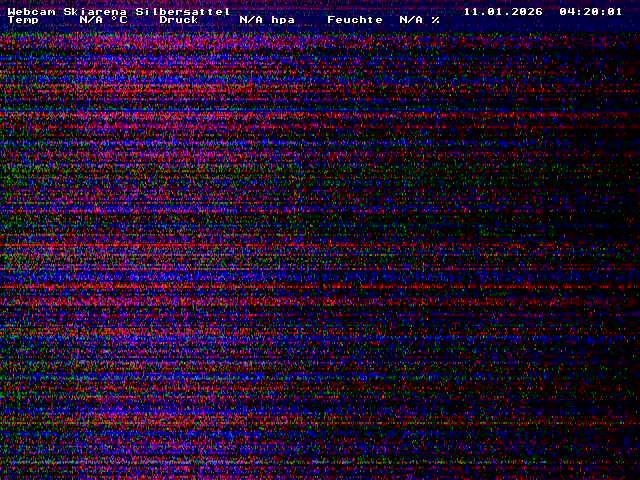 Archiv Foto Webcam Silbersattel Steinach Bergstation auf 842m
