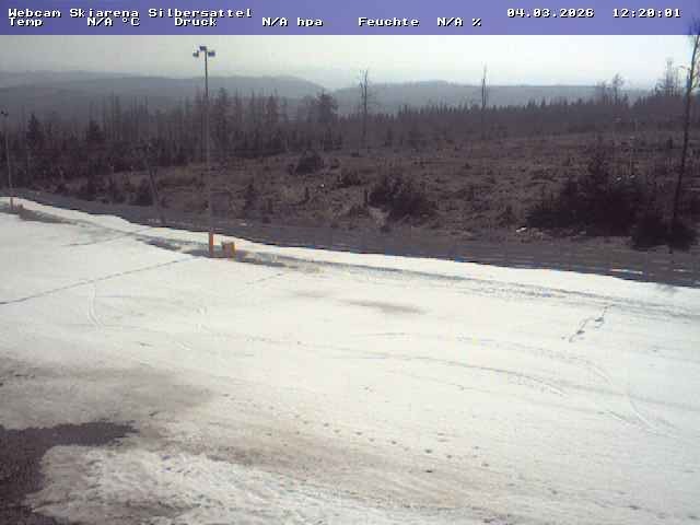 Archiv Foto Webcam Silbersattel Steinach Bergstation auf 842m