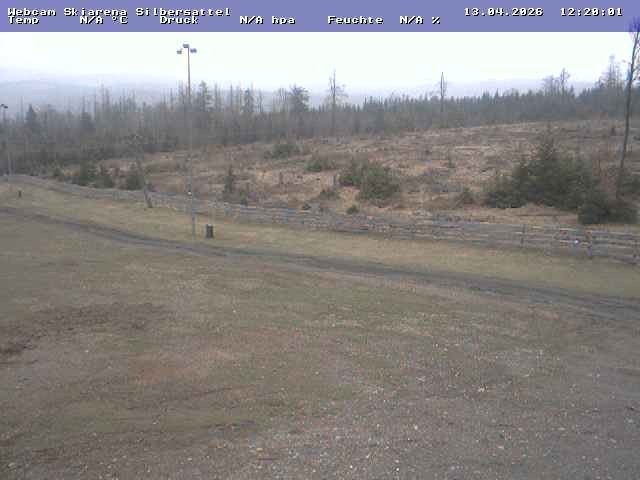 Archiv Foto Webcam Silbersattel Steinach Bergstation auf 842m