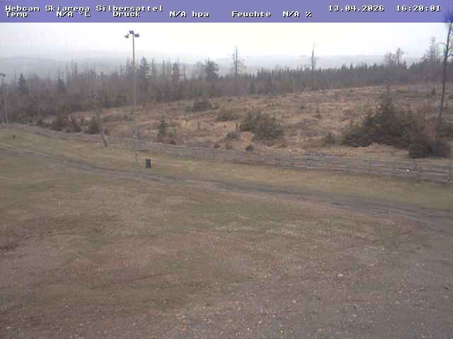 Archiv Foto Webcam Silbersattel Steinach Bergstation auf 842m