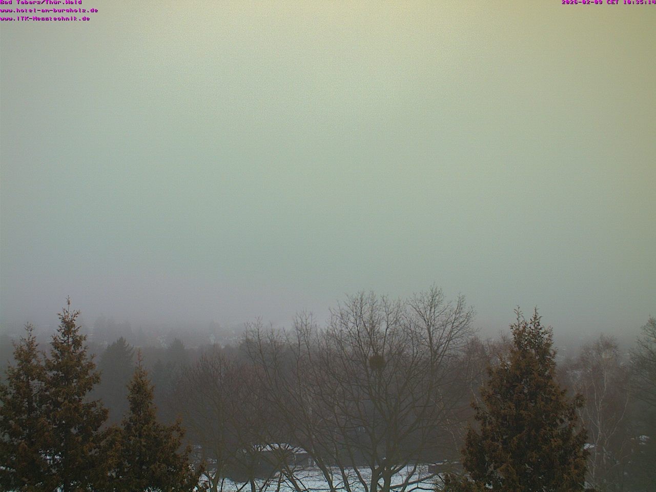 Archiv Foto Webcam Bad Tabarz im Thüringer Wald