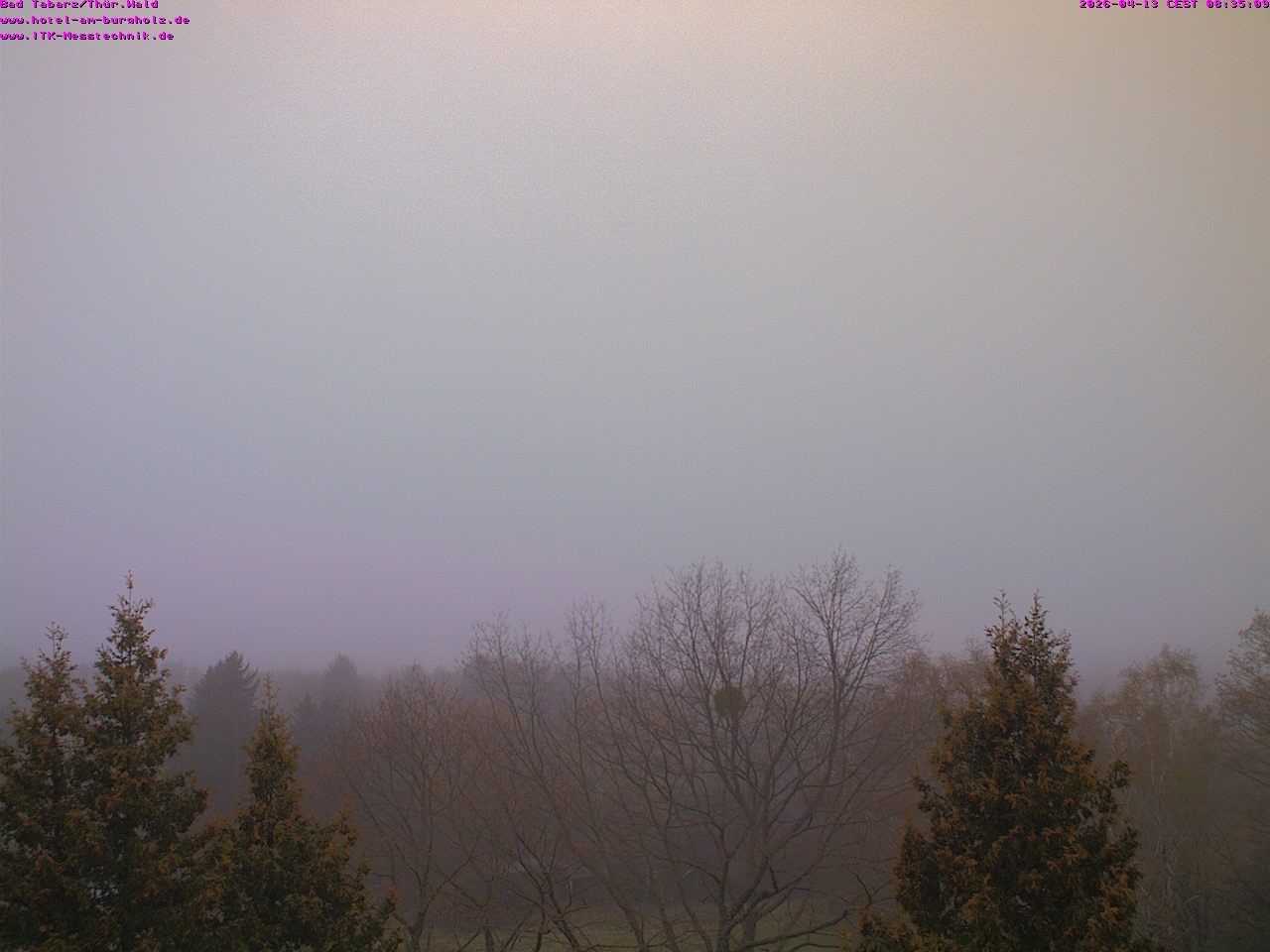 Archiv Foto Webcam Bad Tabarz im Thüringer Wald