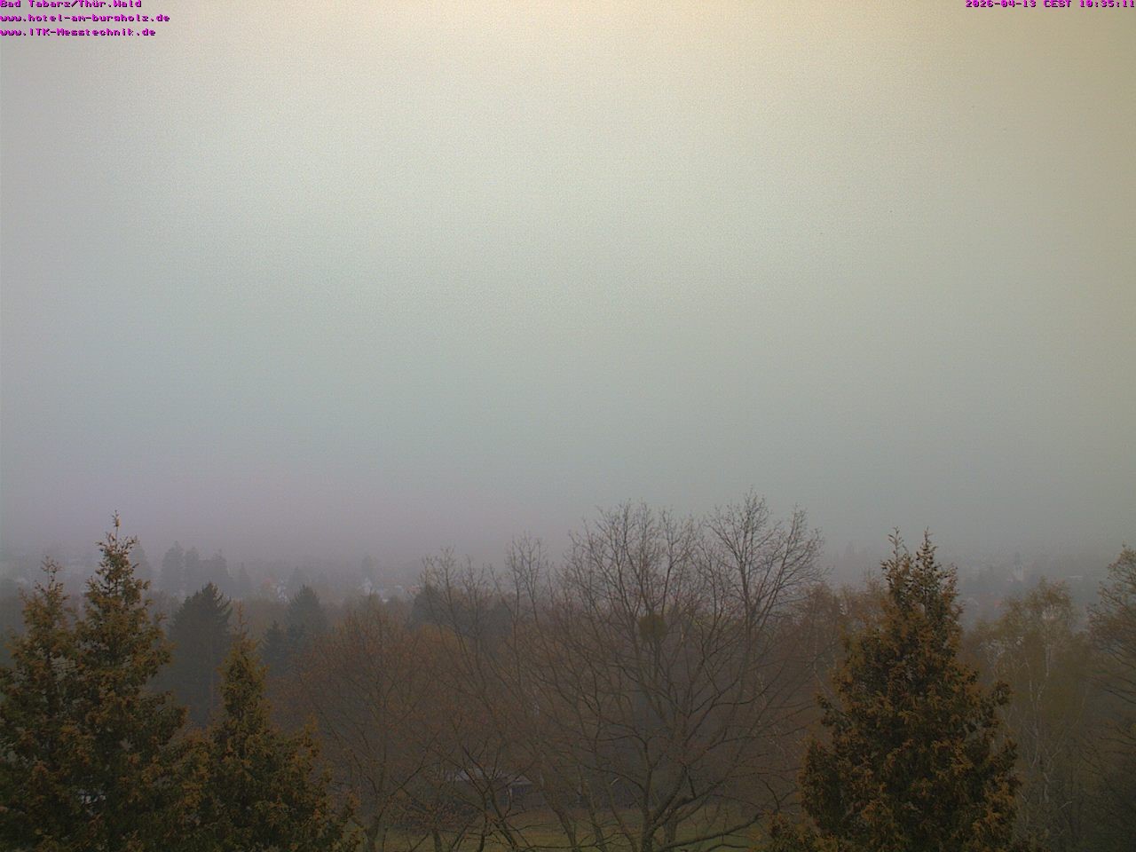 Archived image Webcam Thuringian Forest, Tabarz