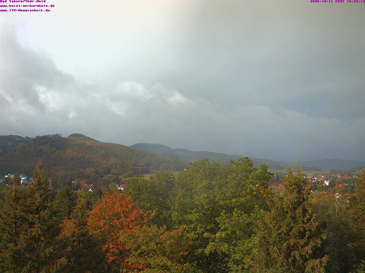 Archived image Webcam Thuringian Forest, Tabarz