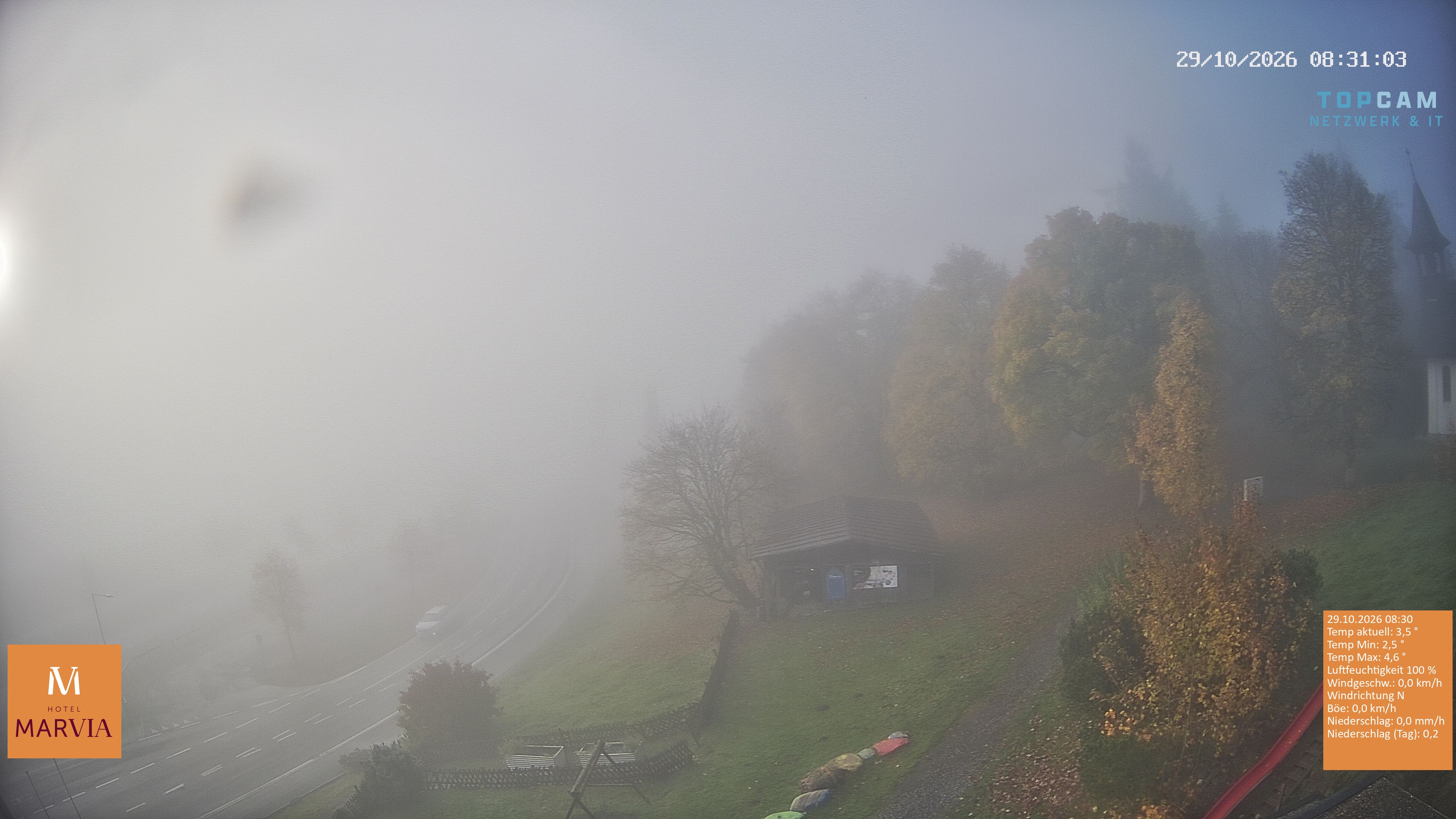 Archiv Foto Webcam Berghof Fetz in Bödele im Bregenzerwald