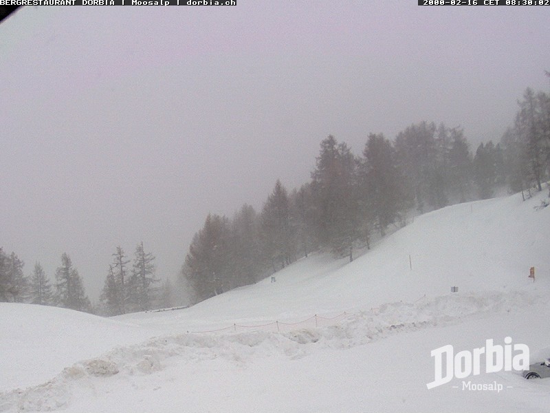 Archiv Foto Webcam Restaurant Moosalp, Bürchen