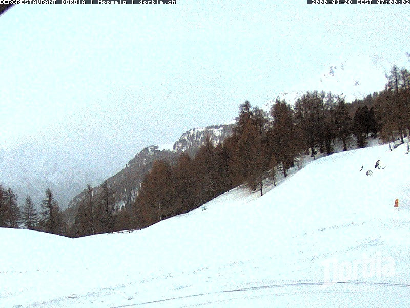 Archiv Foto Webcam Restaurant Moosalp, Bürchen