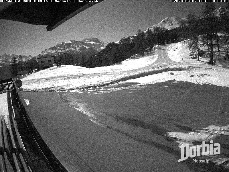 Archiv Foto Webcam Restaurant Moosalp, Bürchen