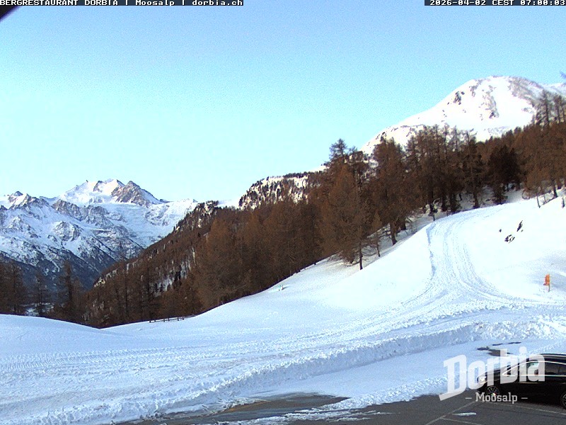 Archiv Foto Webcam Restaurant Moosalp, Bürchen