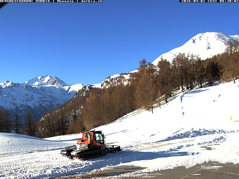 Archiv Foto Webcam Restaurant Moosalp, Bürchen