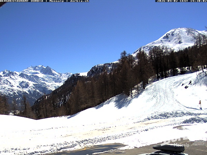 Archiv Foto Webcam Restaurant Moosalp, Bürchen