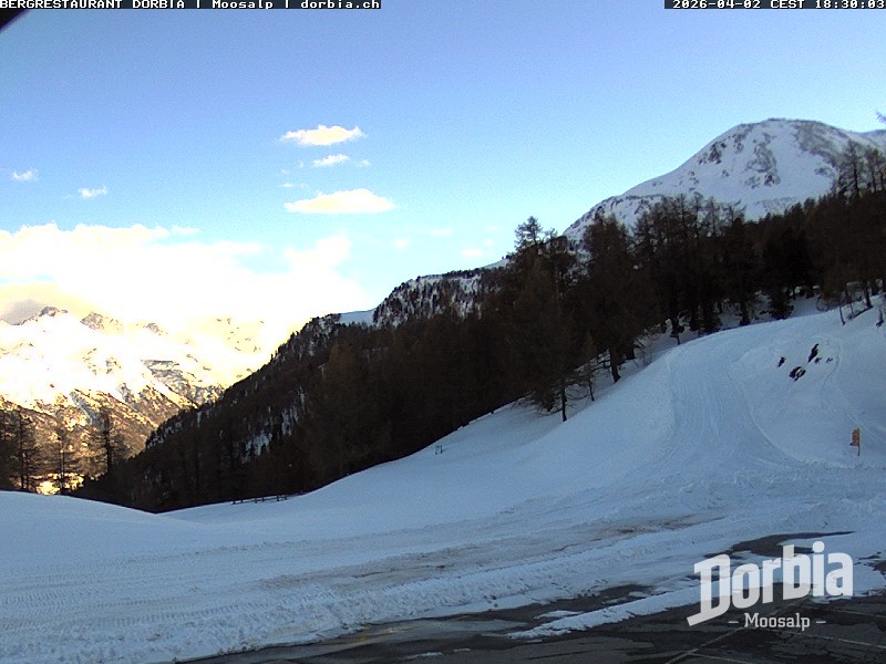 Archiv Foto Webcam Restaurant Moosalp, Bürchen