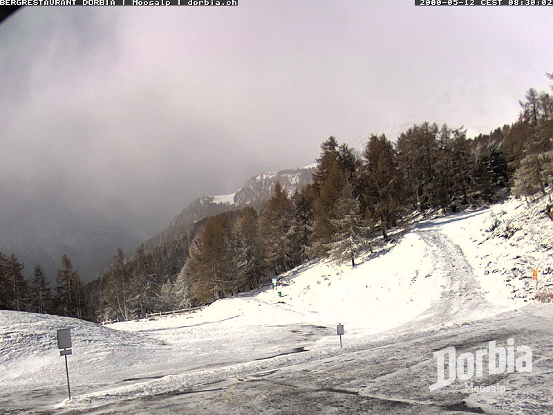 Archived image Webcam alp Moosalp, Bürchen
