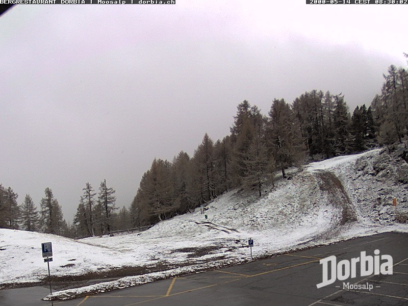 Archiv Foto Webcam Restaurant Moosalp, Bürchen