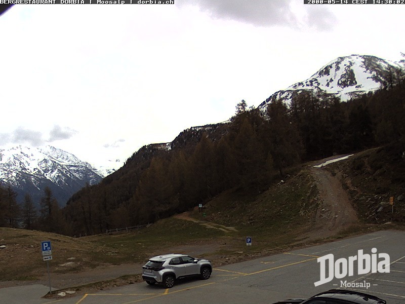 Archiv Foto Webcam Restaurant Moosalp, Bürchen