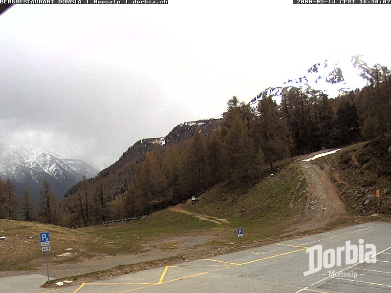 Archiv Foto Webcam Restaurant Moosalp, Bürchen