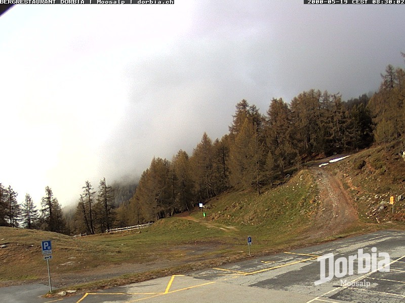 Archiv Foto Webcam Restaurant Moosalp, Bürchen