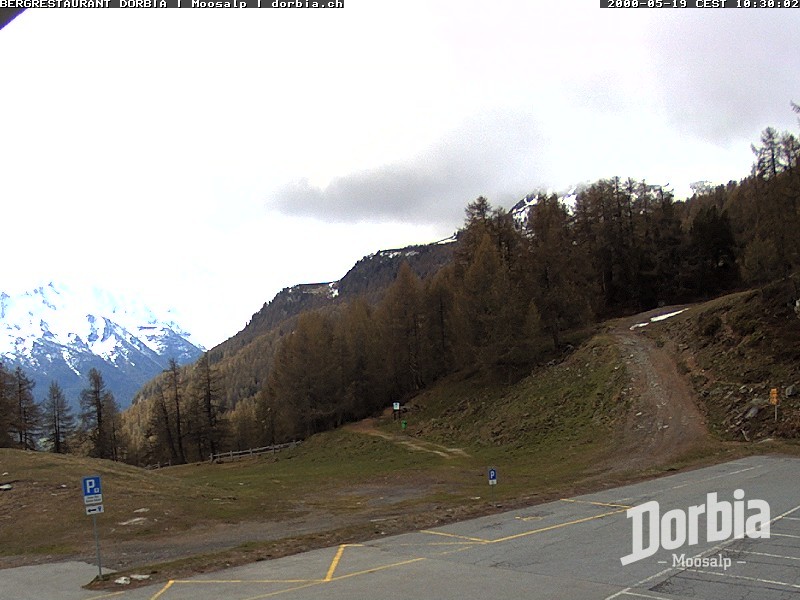 Archiv Foto Webcam Restaurant Moosalp, Bürchen