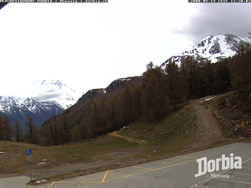 Archiv Foto Webcam Restaurant Moosalp, Bürchen