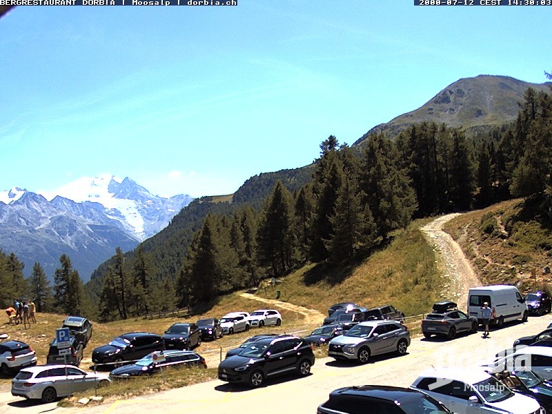 Archived image Webcam alp Moosalp, Bürchen