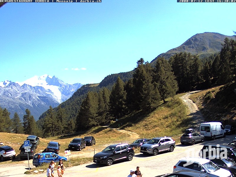 Archived image Webcam alp Moosalp, Bürchen