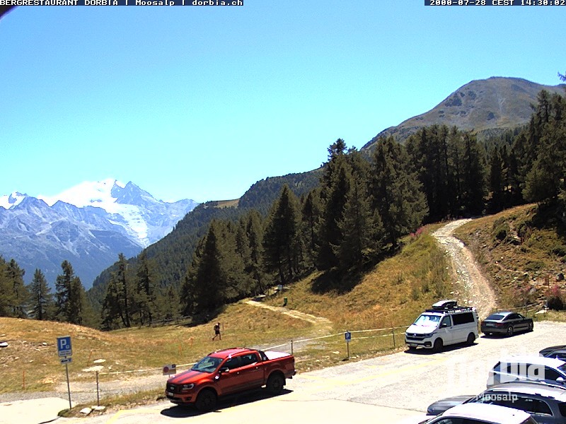 Archiv Foto Webcam Restaurant Moosalp, Bürchen