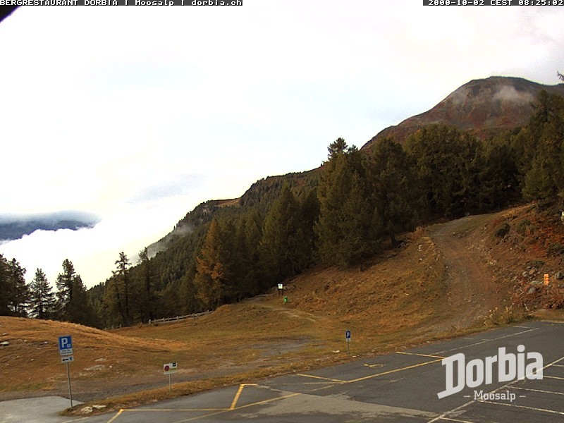 Archiv Foto Webcam Restaurant Moosalp, Bürchen