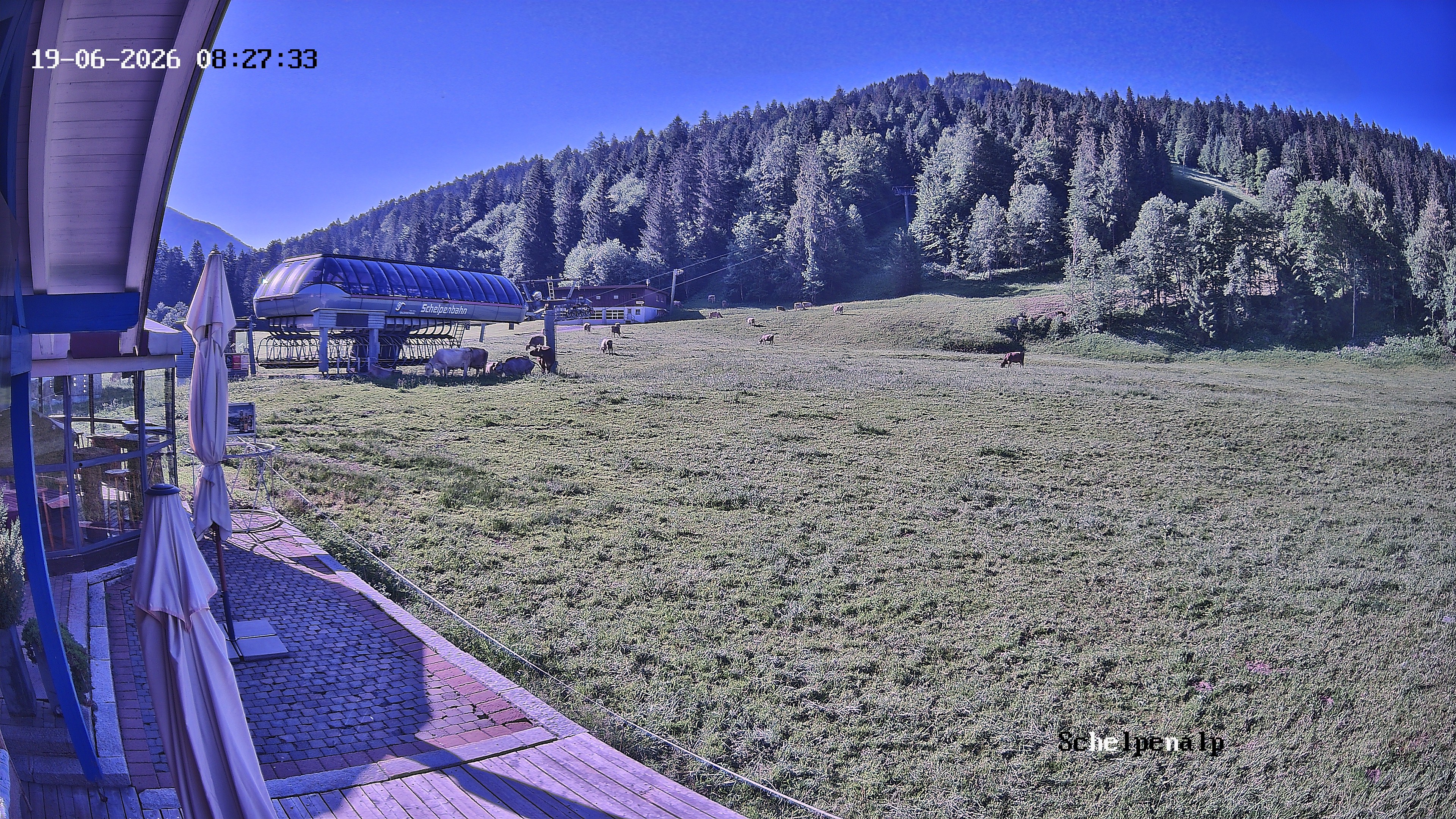 Archived image Webcam Balderschwang - Restaurant Schelpenalp