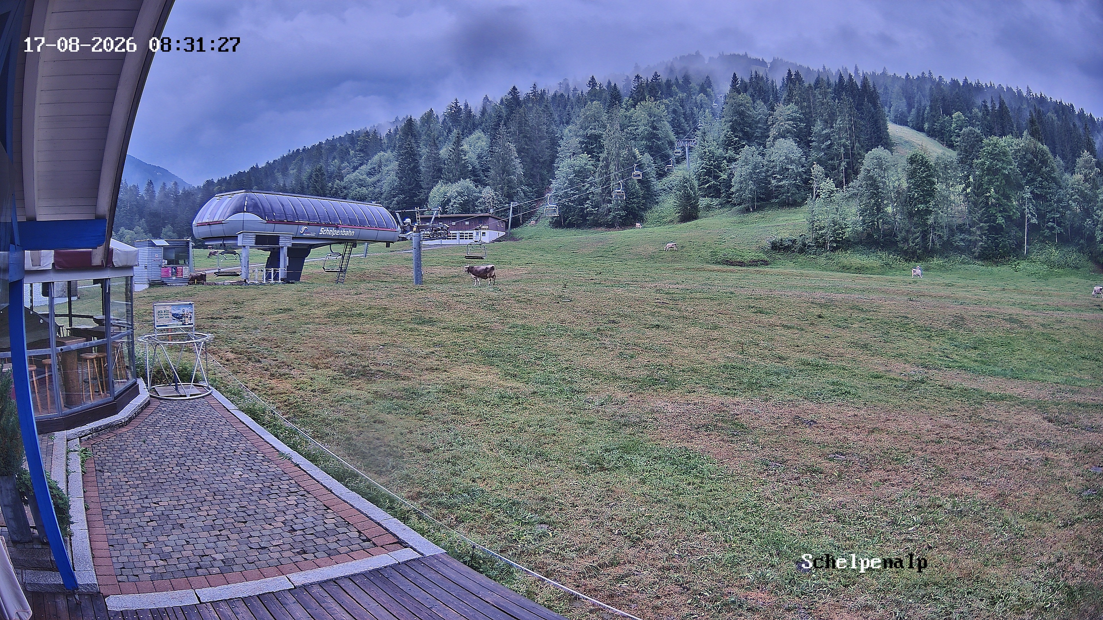 Archiv Foto Webcam Balderschwang: Einkehr Schelpenalp