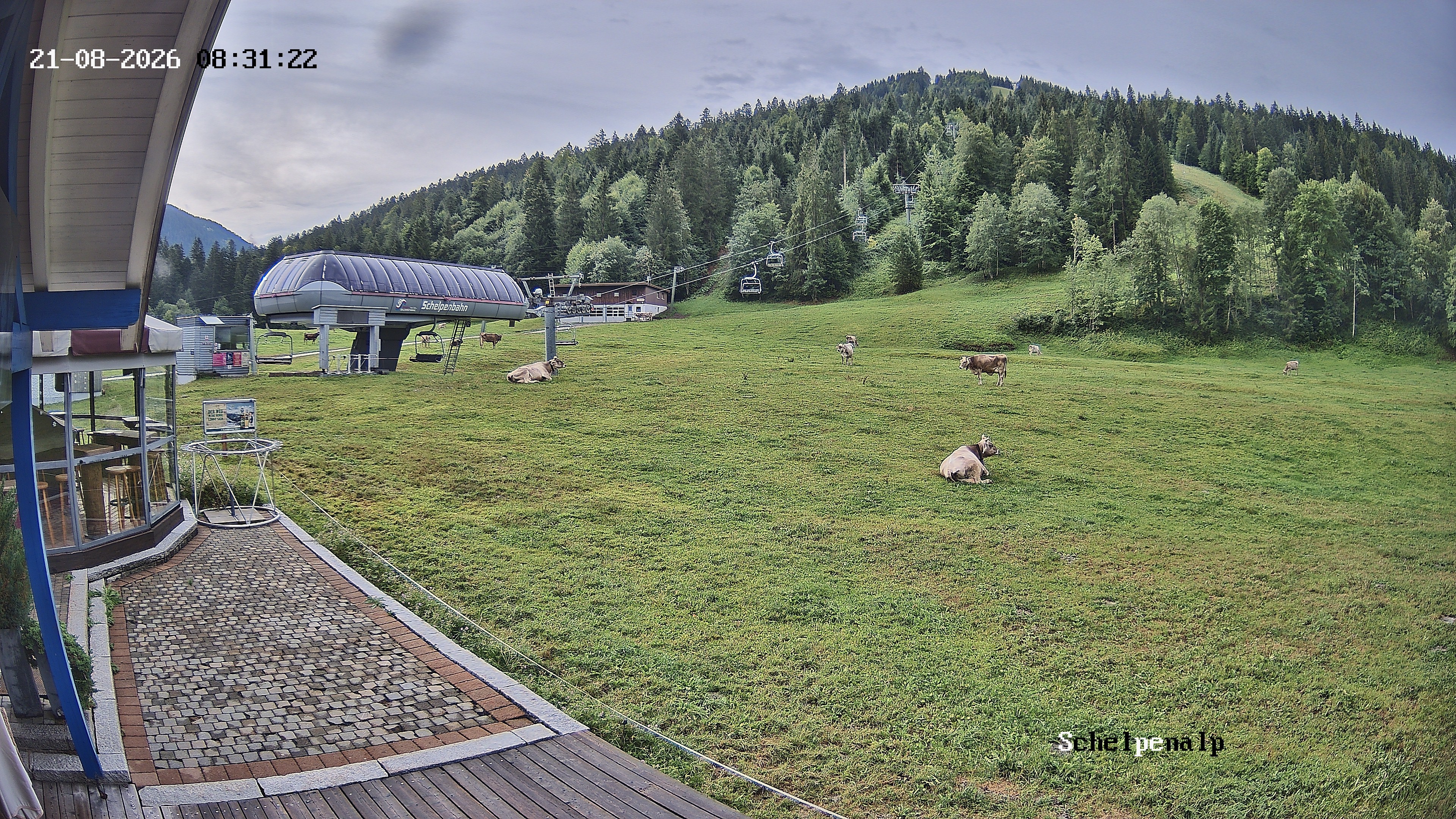 Archiv Foto Webcam Balderschwang: Einkehr Schelpenalp