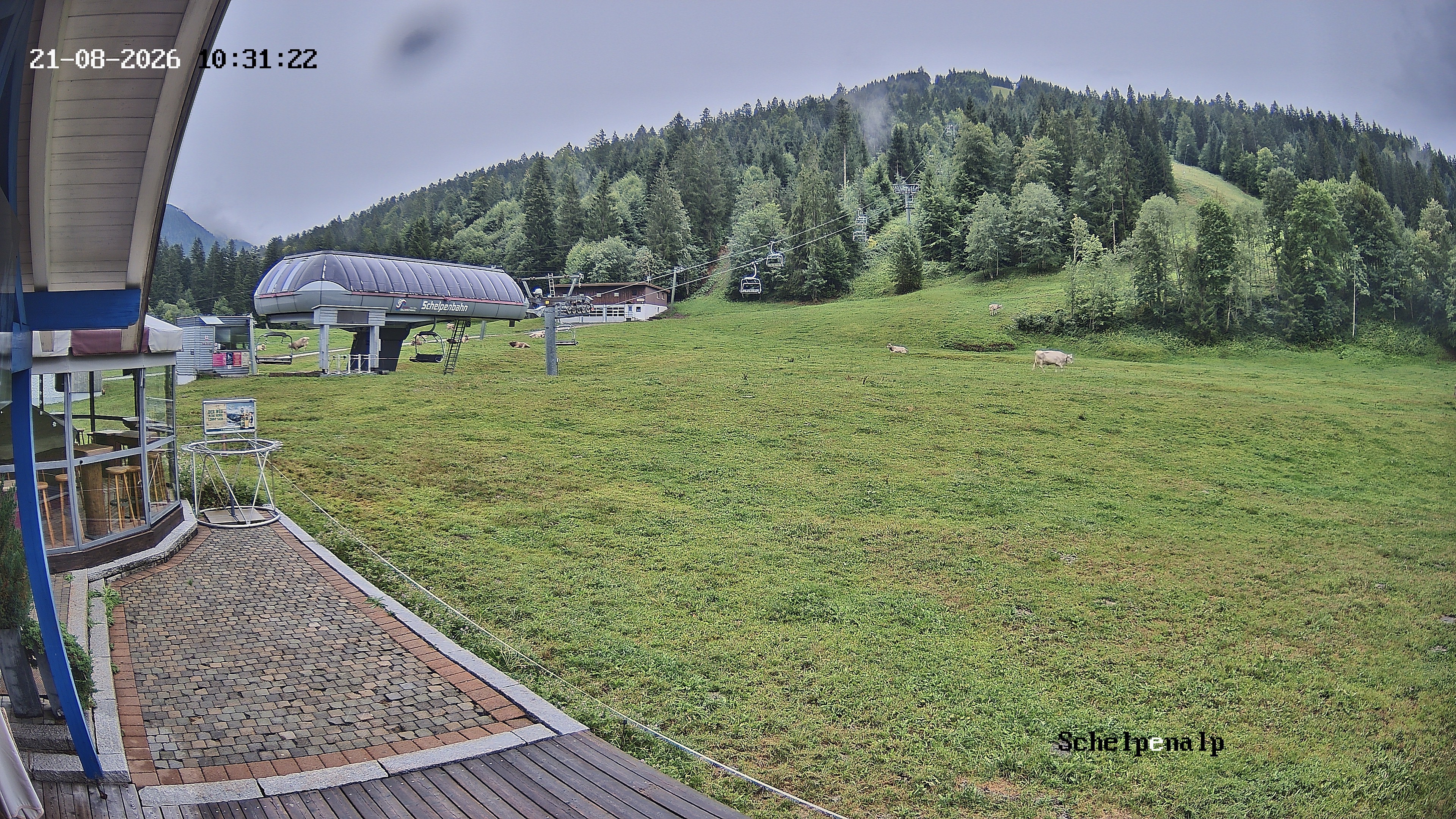 Archiv Foto Webcam Balderschwang: Einkehr Schelpenalp