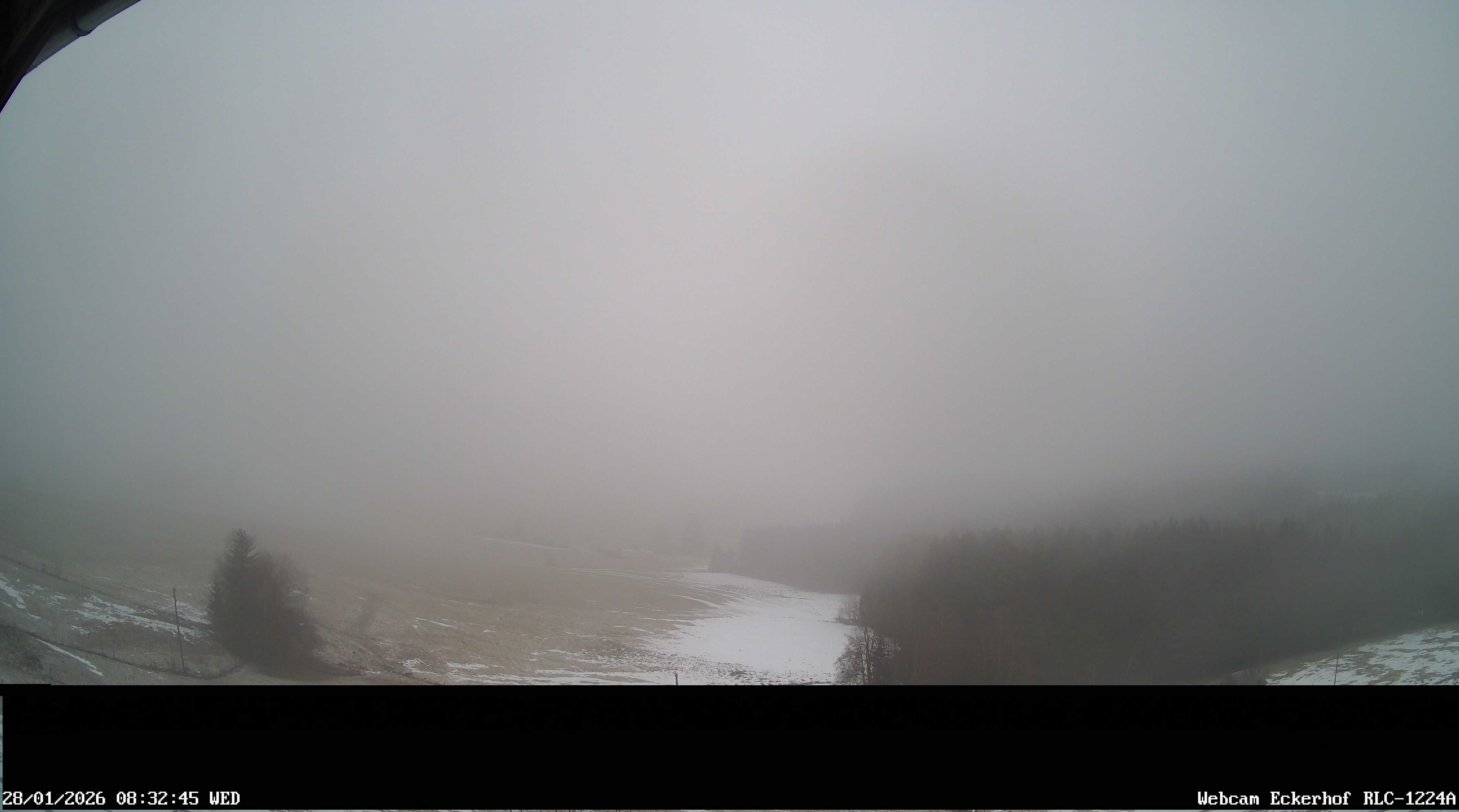 Archiv Foto Webcam Breitnau (Schwarzwald)