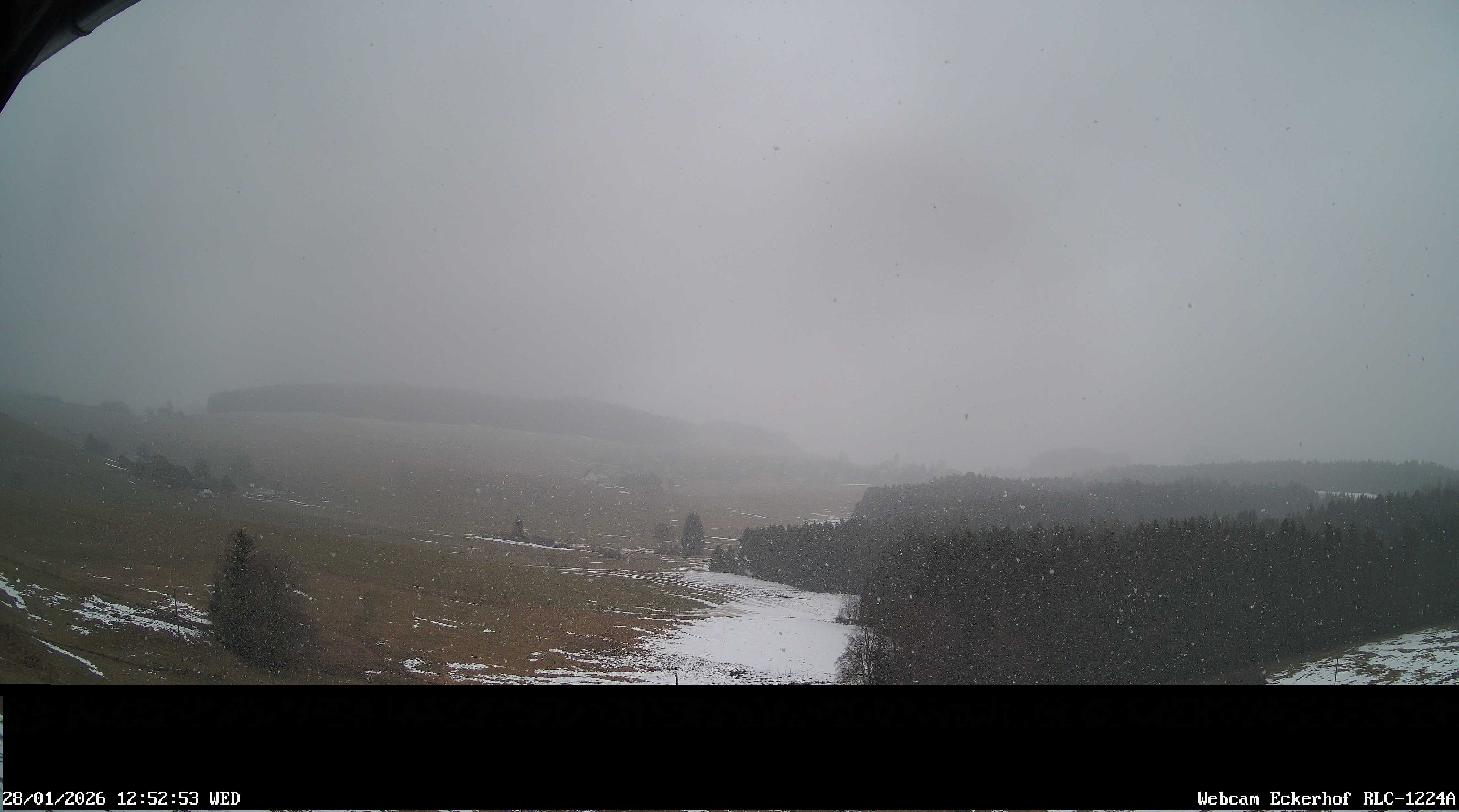 Archiv Foto Webcam Breitnau (Schwarzwald)