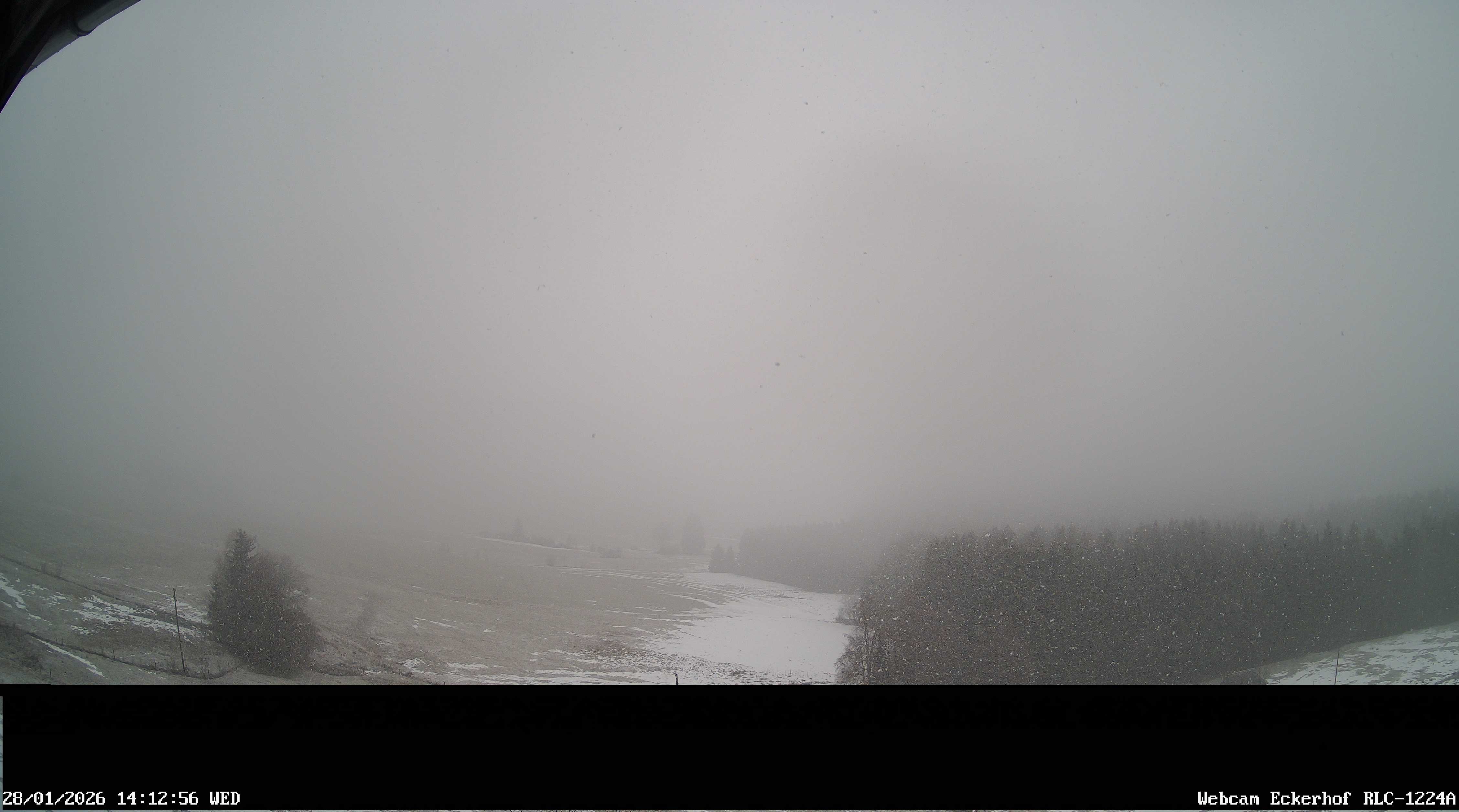 Archiv Foto Webcam Breitnau (Schwarzwald)