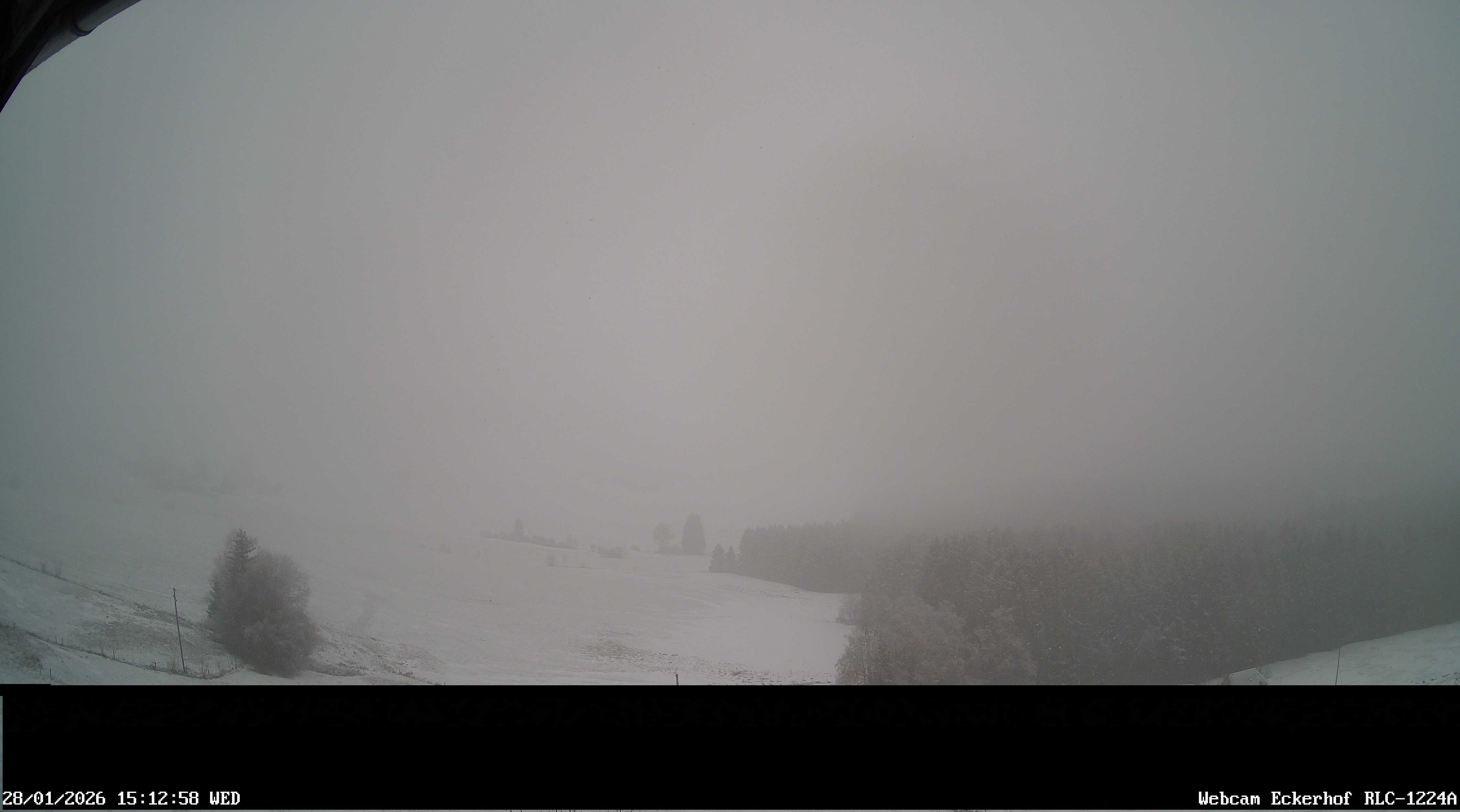 Archiv Foto Webcam Breitnau (Schwarzwald)