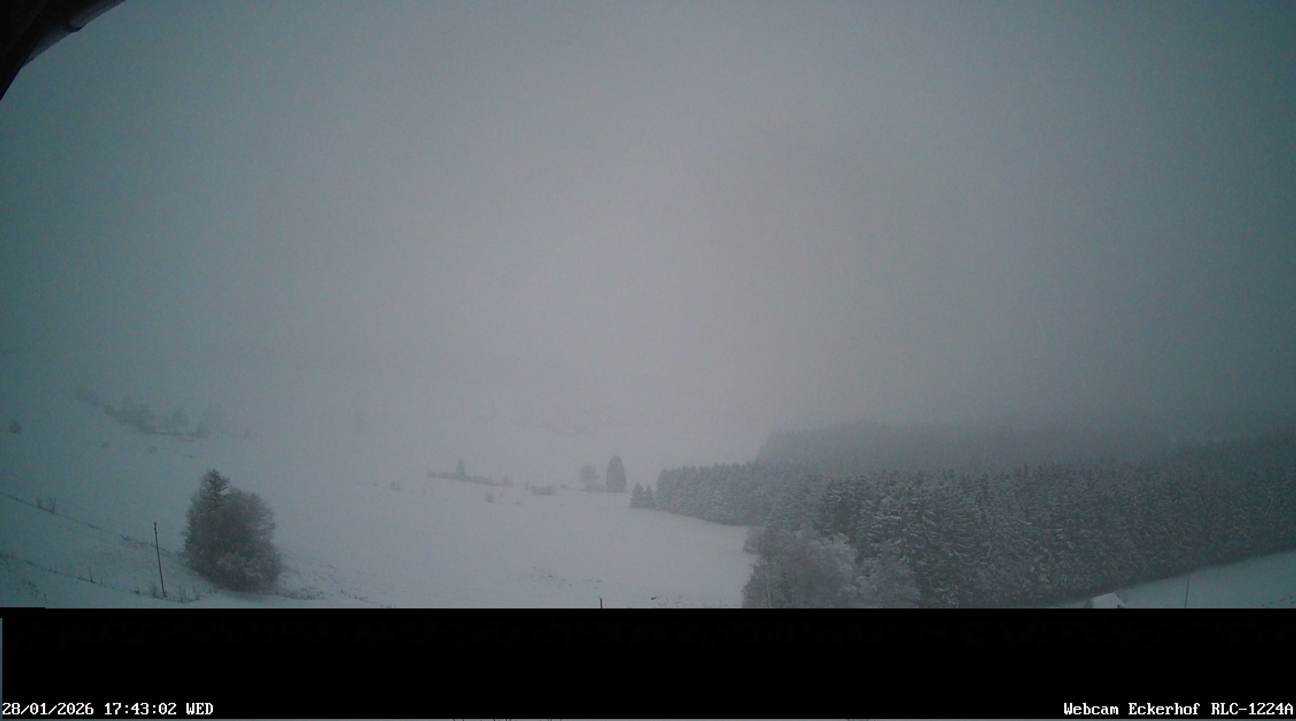 Archiv Foto Webcam Breitnau (Schwarzwald)