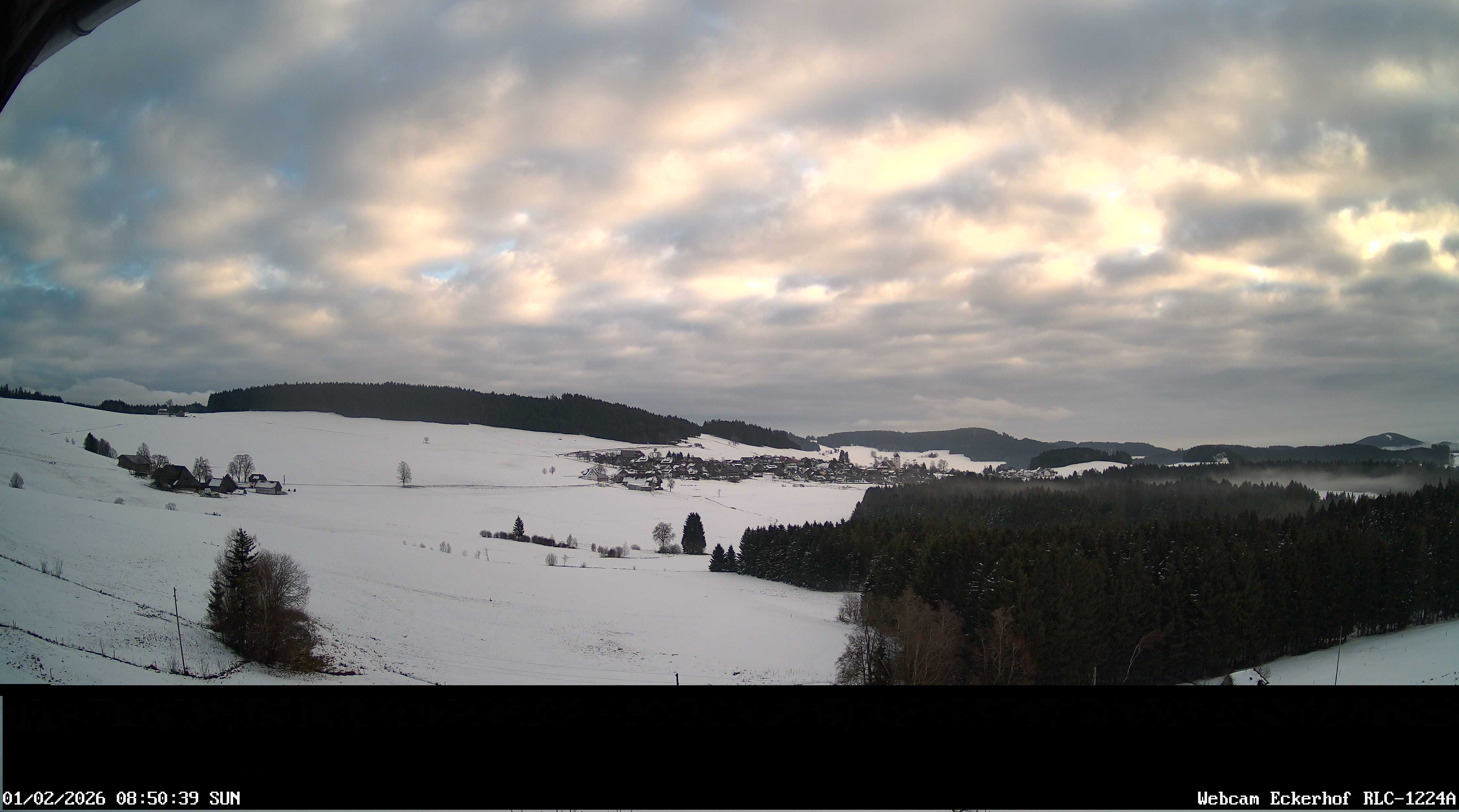 Archiv Foto Webcam Breitnau (Schwarzwald)
