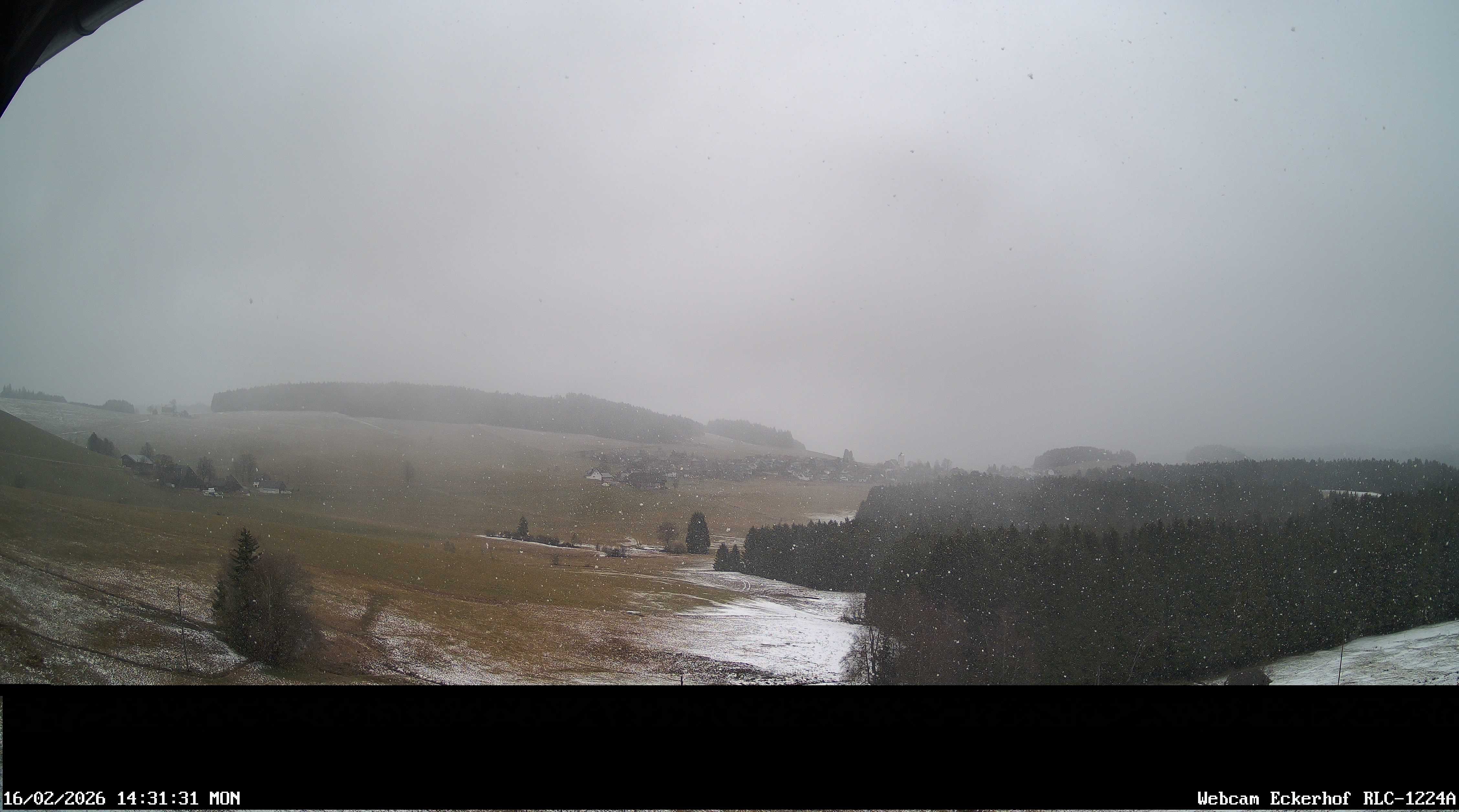Archiv Foto Webcam Breitnau (Schwarzwald)
