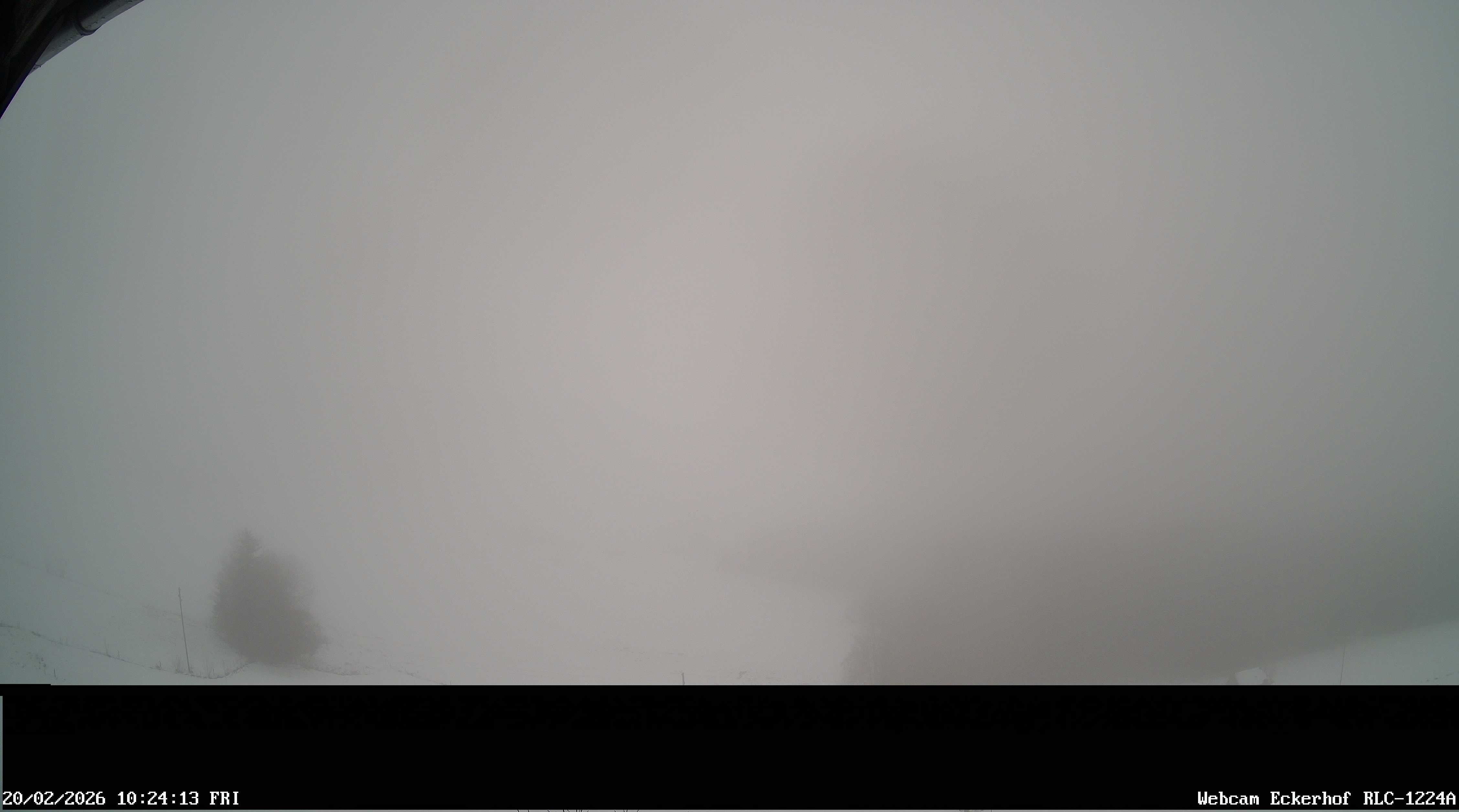 Archiv Foto Webcam Breitnau (Schwarzwald)