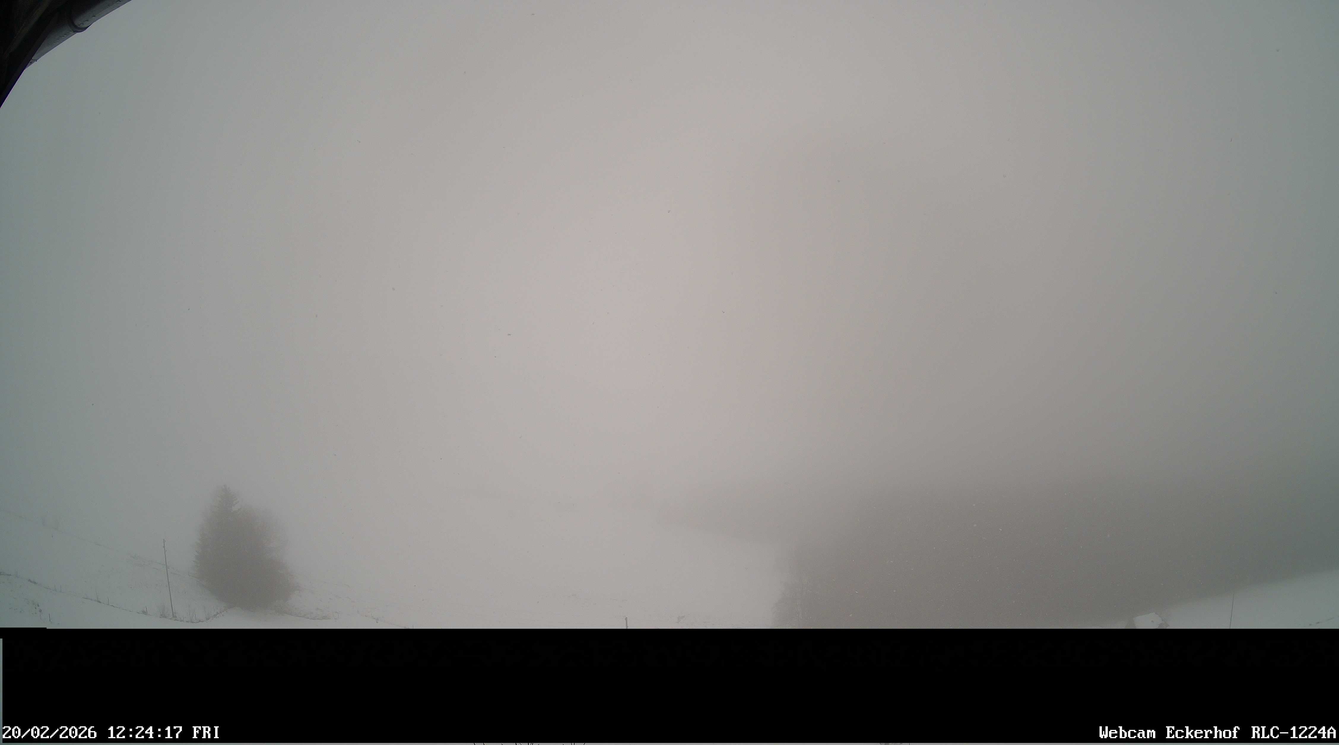 Archiv Foto Webcam Breitnau (Schwarzwald)