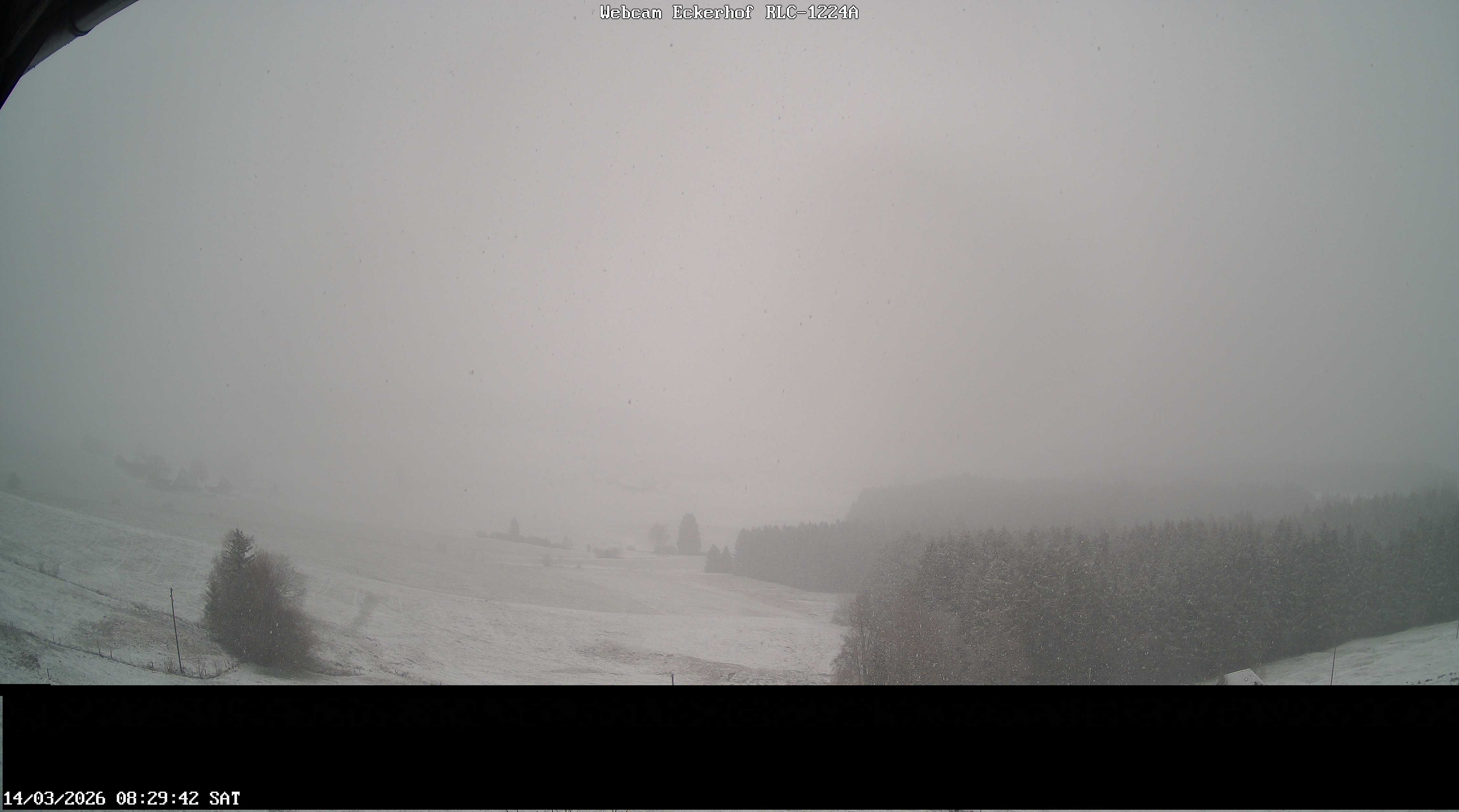 Archiv Foto Webcam Breitnau (Schwarzwald)