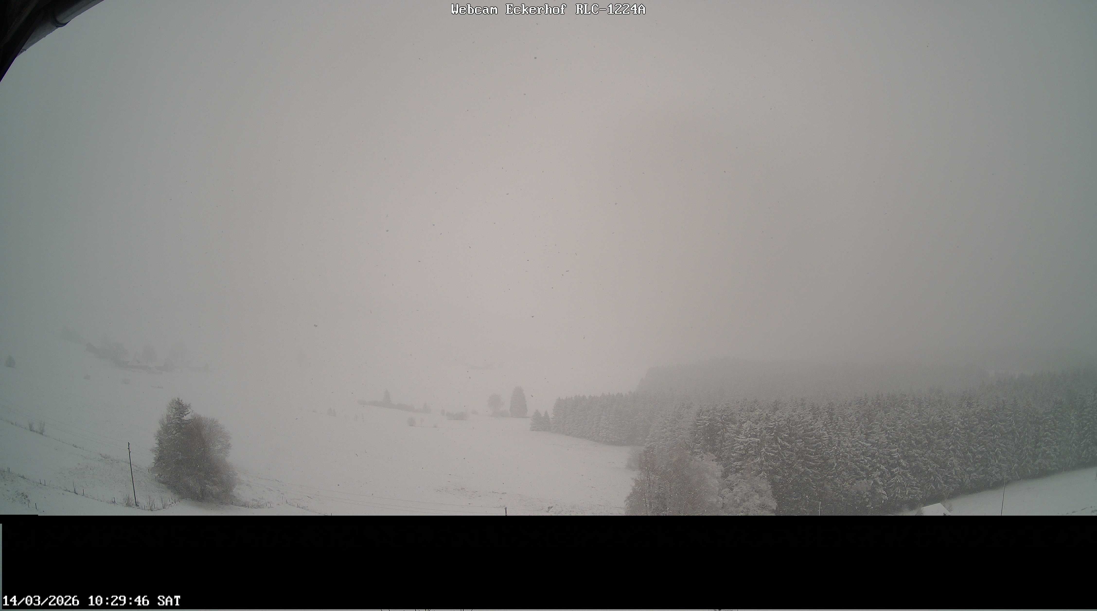Archiv Foto Webcam Breitnau (Schwarzwald)