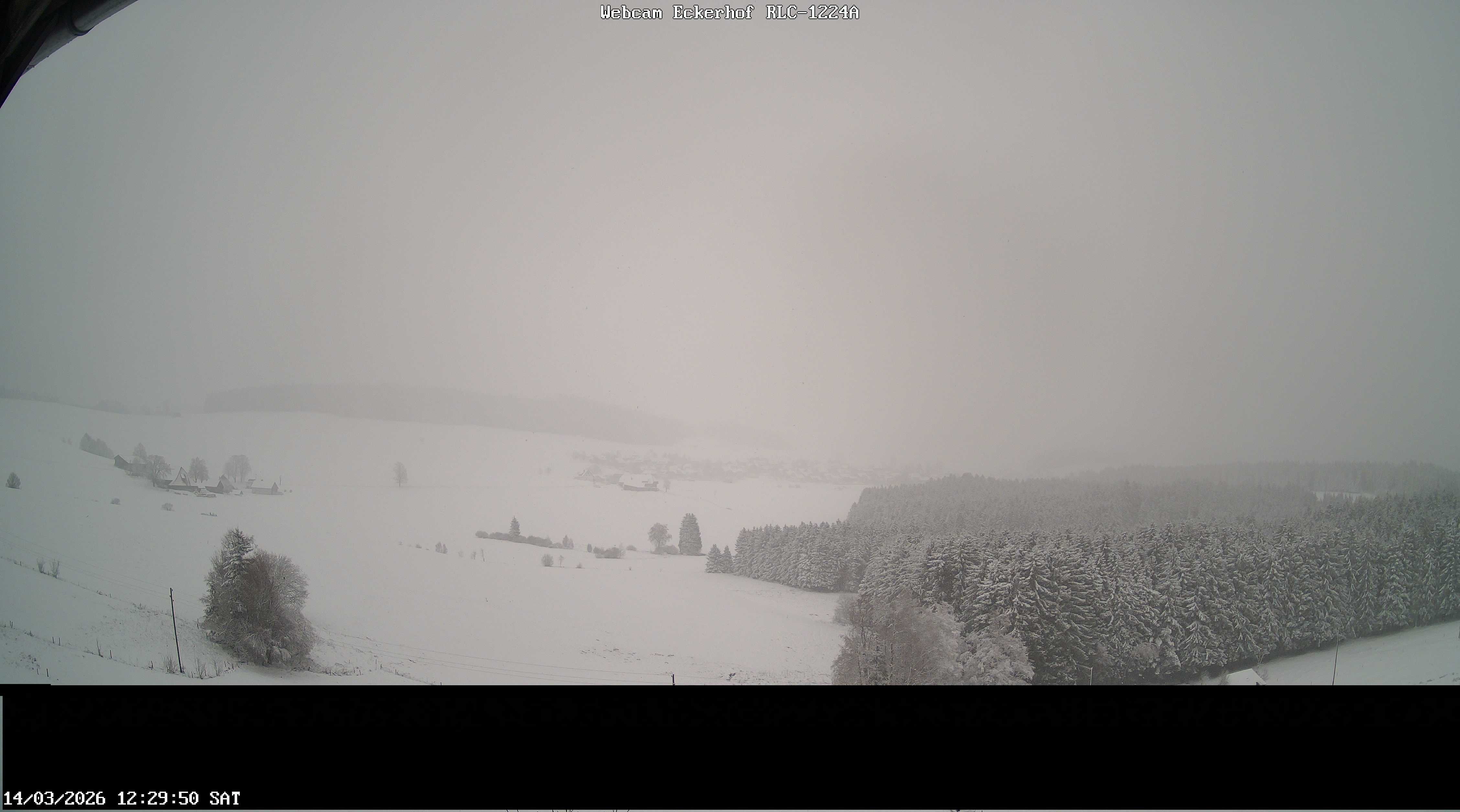 Archiv Foto Webcam Breitnau (Schwarzwald)