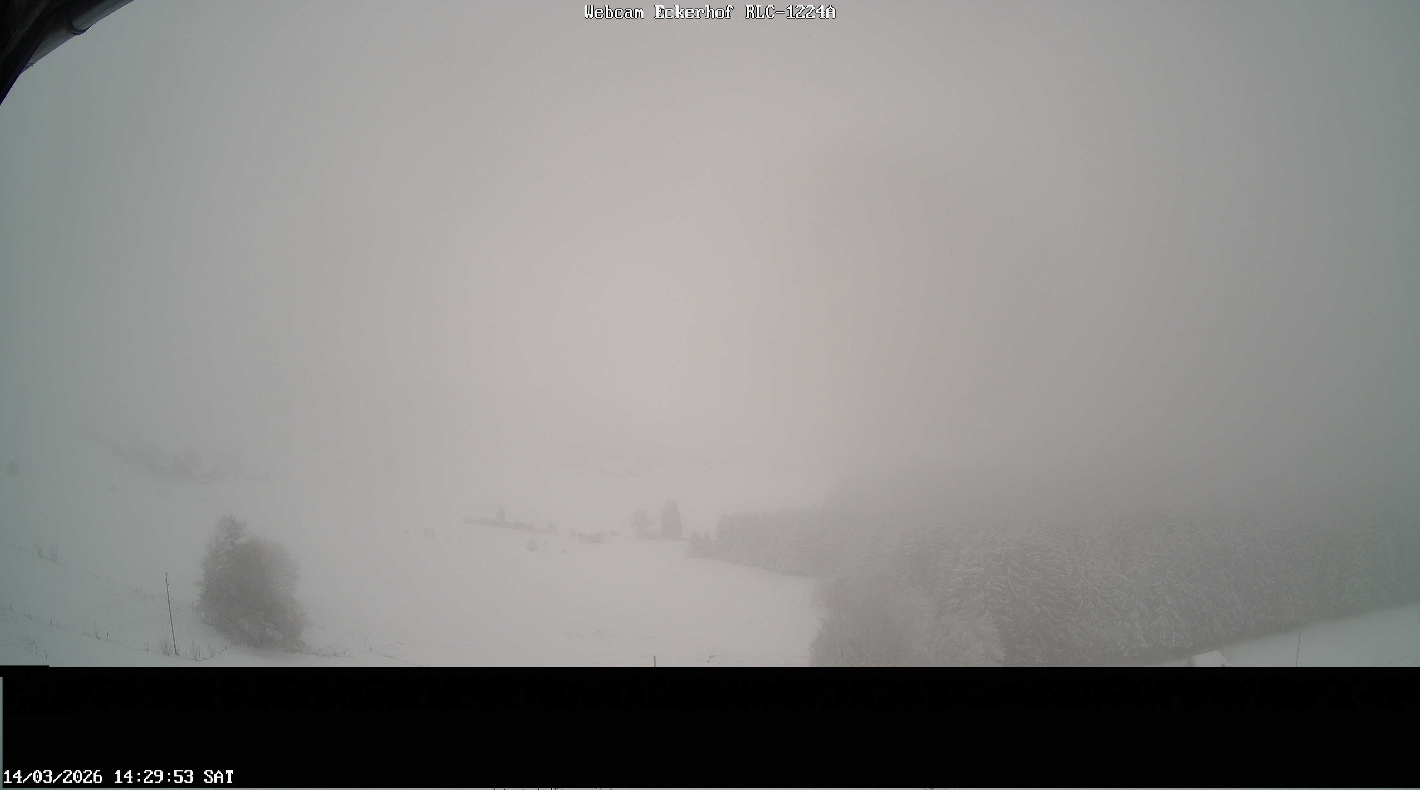 Archiv Foto Webcam Breitnau (Schwarzwald)